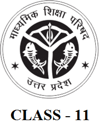 UP BOARD CLASS 11