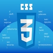 CSS Language Free Online Test